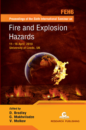 Fire and Explosion Hazards, Proceedings of the Sixth International Seminar-0